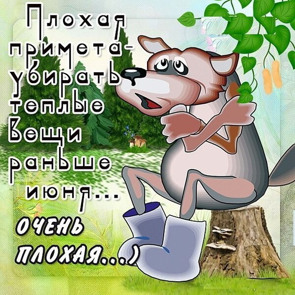 Шутки про лето