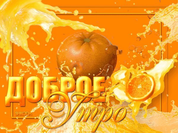 Сибирские огоньки цветы