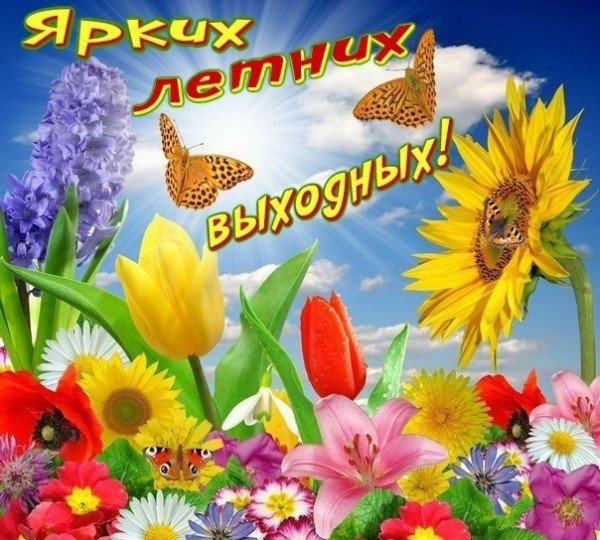 Открытки с летним июльским днём