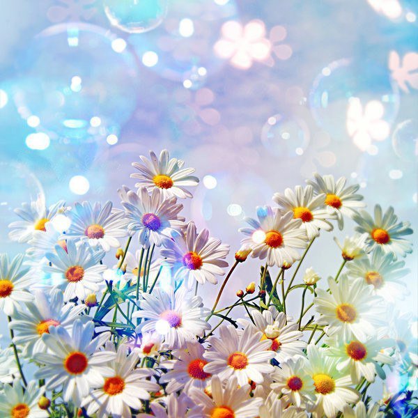 Солнечный летний день