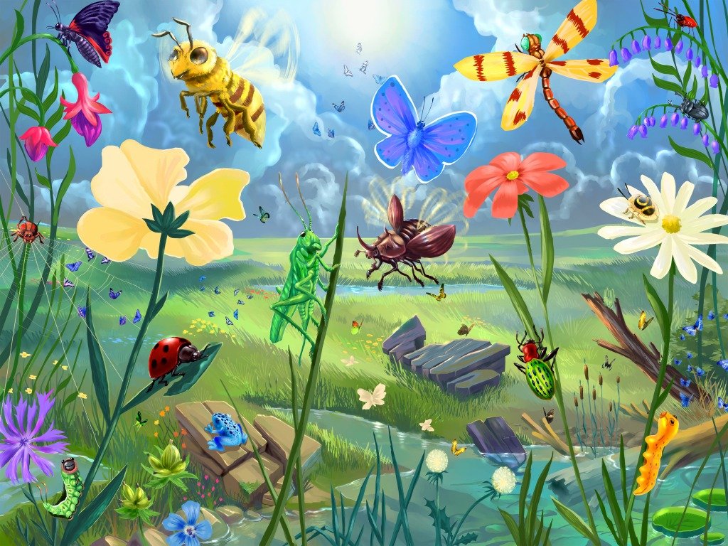 Картинки с насекомыми для детей. Луг с насекомыми. Цветочная Поляна для детей. Насекомые на Поляне. Цветочный луг с насекомыми.