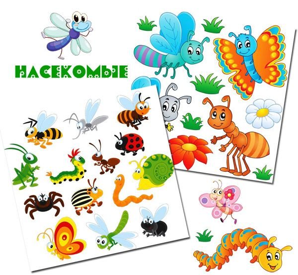 Надпись насекомые для детей