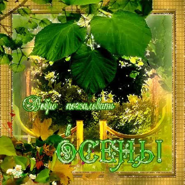 Открытки последние дни уходящего лета