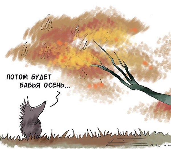 Осень юмор