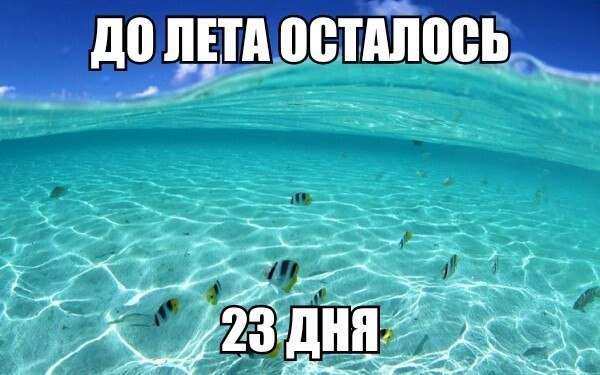 До лета осталось 3 дня
