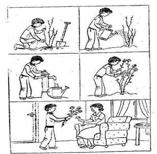 Нейропсихологический альбом Лурия