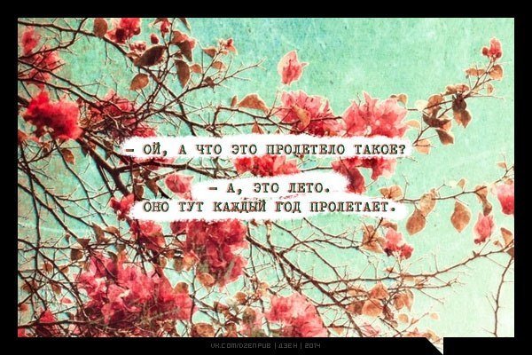 Как быстро лето пролетело картинки