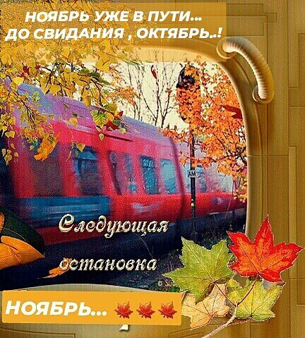 Доброе утро летнее августовское суббота