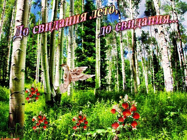 Станция осень