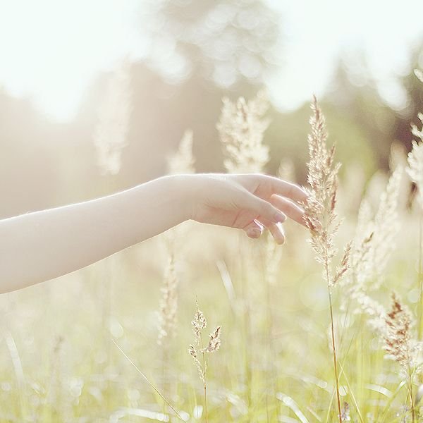 Нежные руки девушки