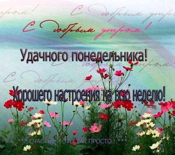 Открытки с добрым утром понедельника