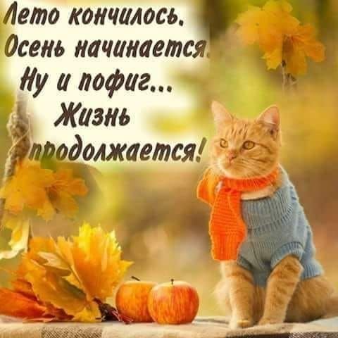 Шутки про море