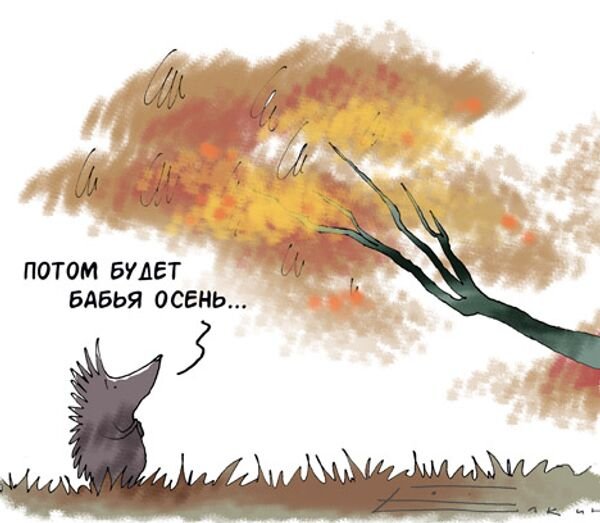 Анекдоты про бабье лето в картинках