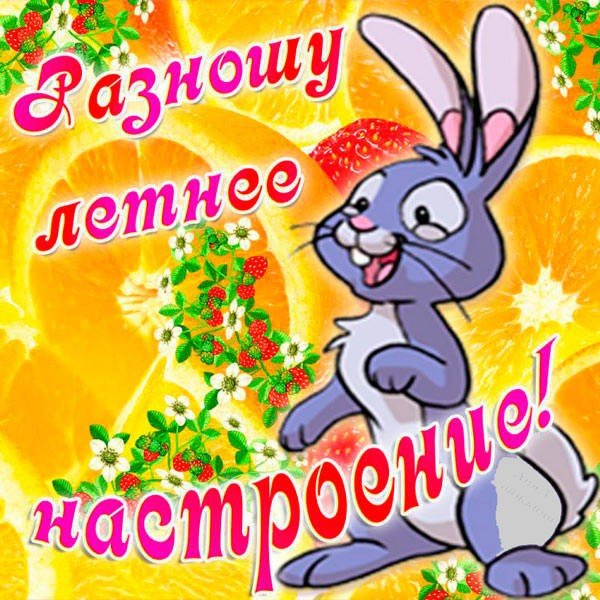 Открытки летнего настроения