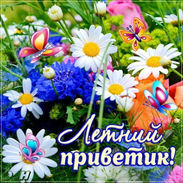 Открытки с летом