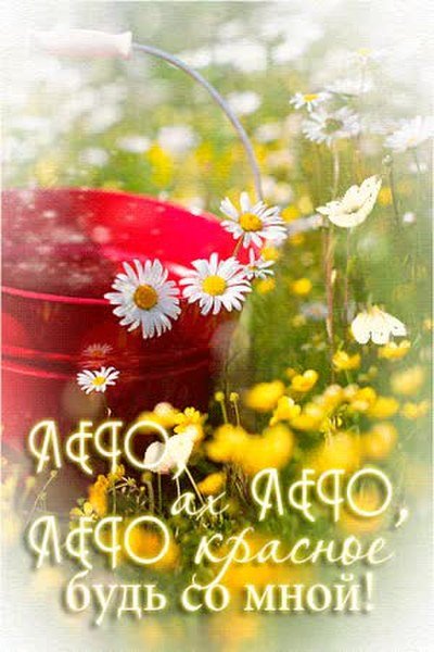 Добрый день с юмором