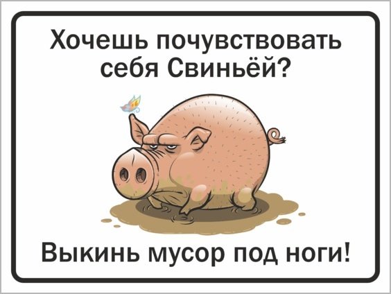 Я свинья