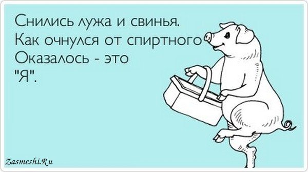 Надпись Свинка