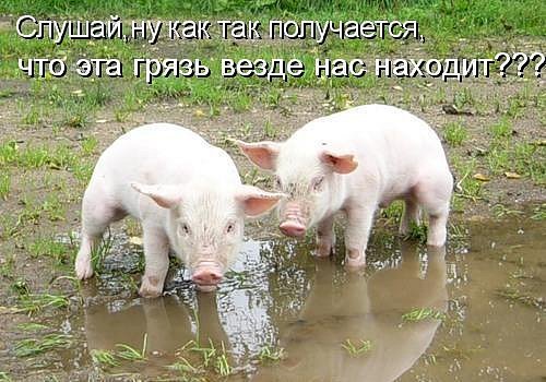 Когда она не отвечает