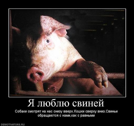 Слава Украине героям сало