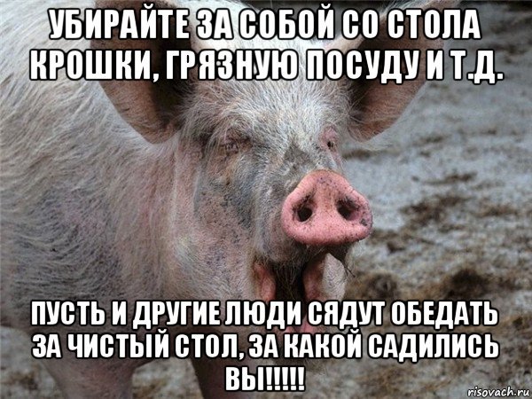 Есть хочу картинки