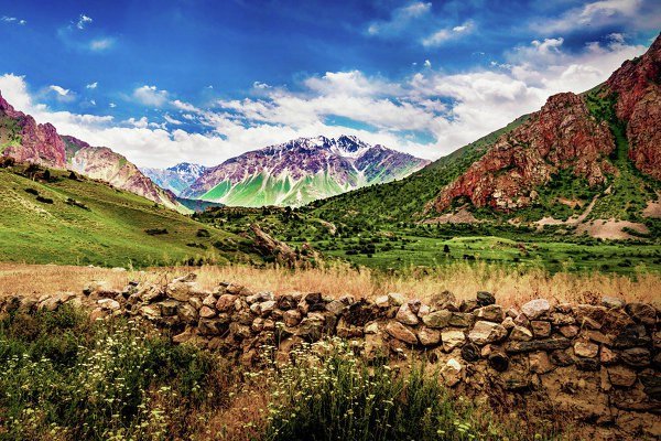 Тянь Шань Киргизия маки