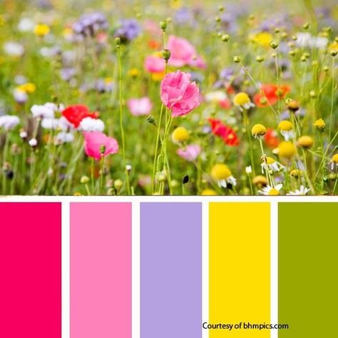 Цветовая палитра времен года