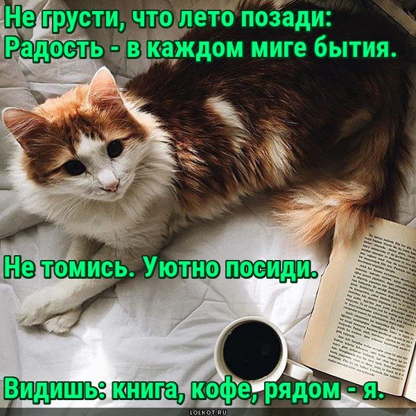 Нет повода для печали