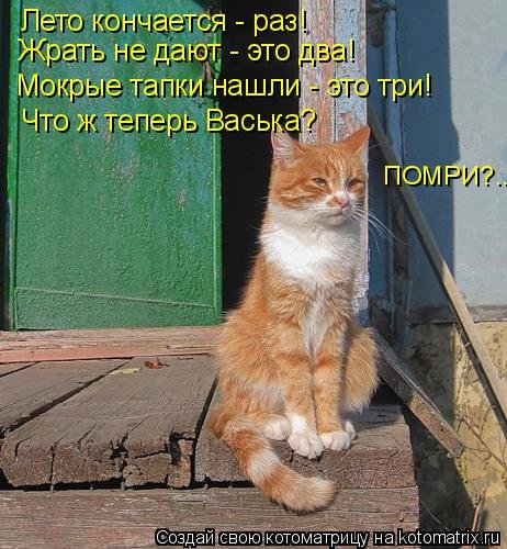 Еще чуть чуть