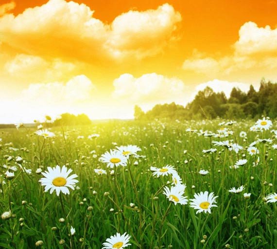 Летнее небо