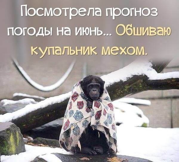 Смешные про Холодное лето