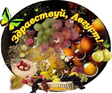 Веселые летние открытки