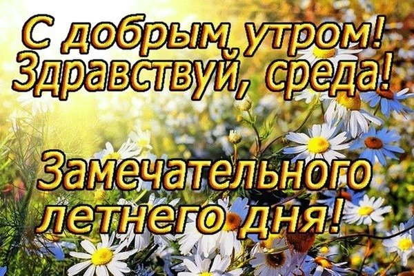 Доброго летнего утра и хорошего дня
