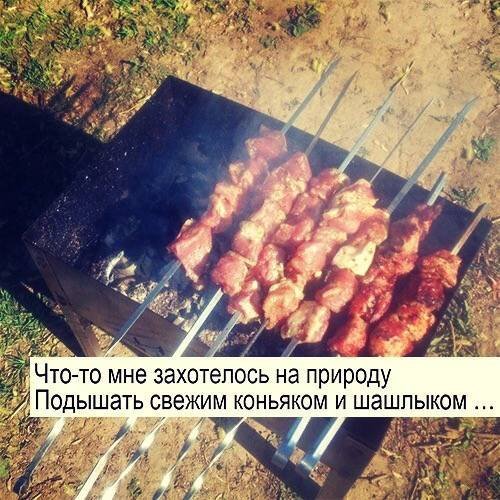 Торт мангал с шашлыком