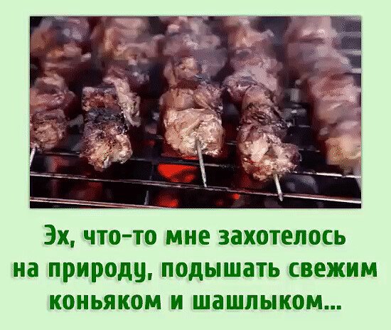 Накрытый стол с шашлыком