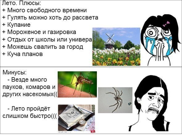Плюсы и минусы лета