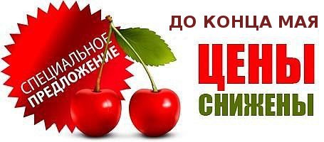 Лето надпись