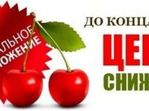 Фитнес лето акции