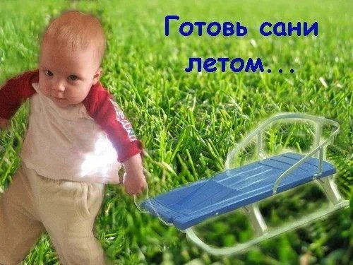 Готовь сани летом картинки