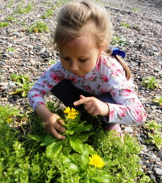 Лето дети наблюдение