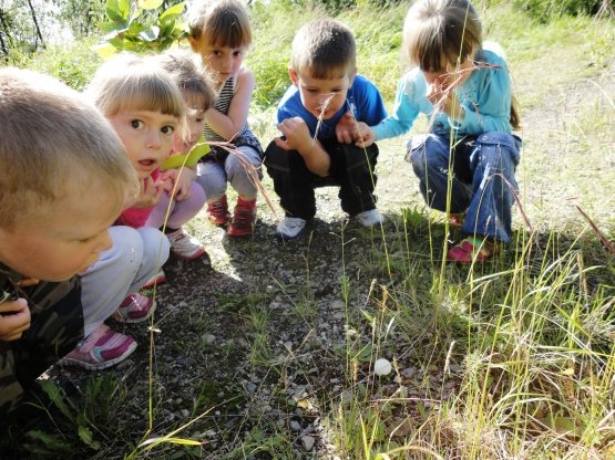 Консультация для родителей август