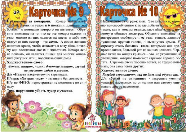 Экологическое образование дошкольников