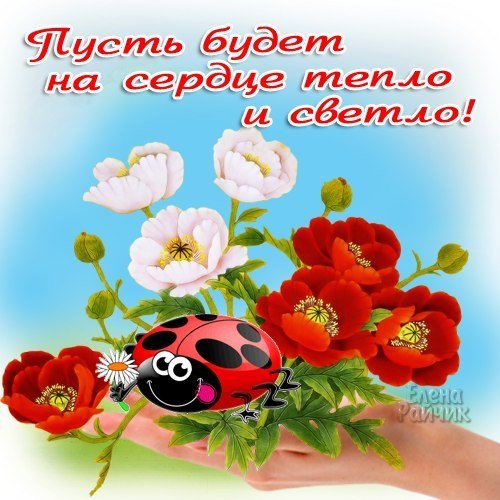 Красивое лето с пожеланием.