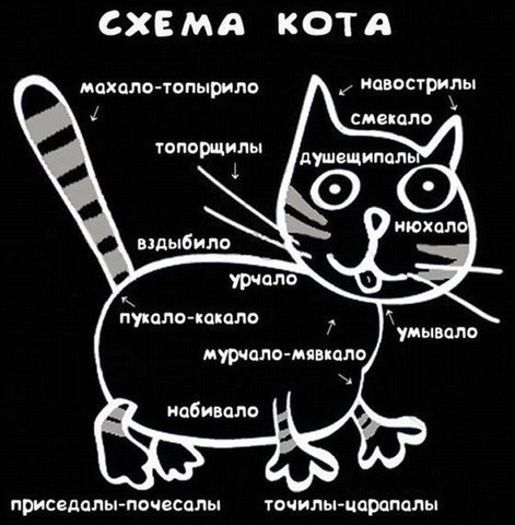 Коты по знаку зодиака