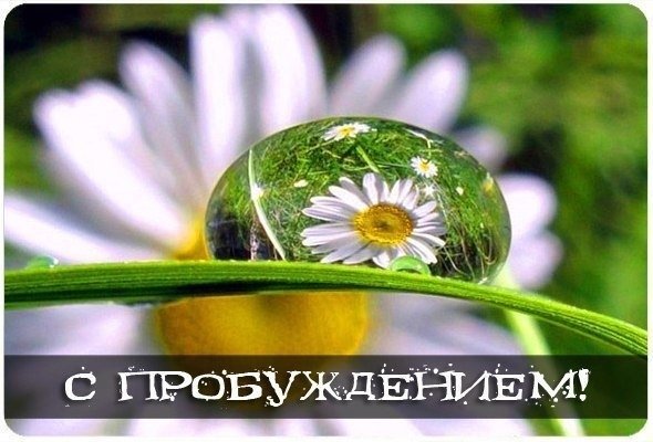 Душевная девушка