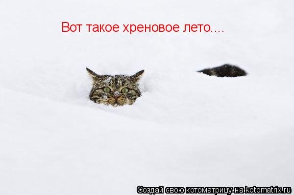 Лето жгучее лето страстное