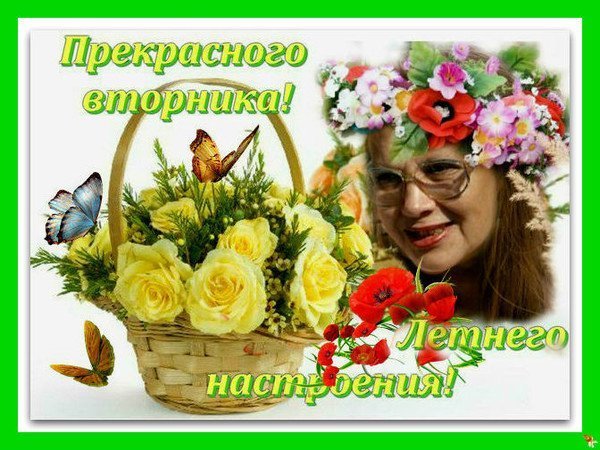 Открытки с добрым днём вторника