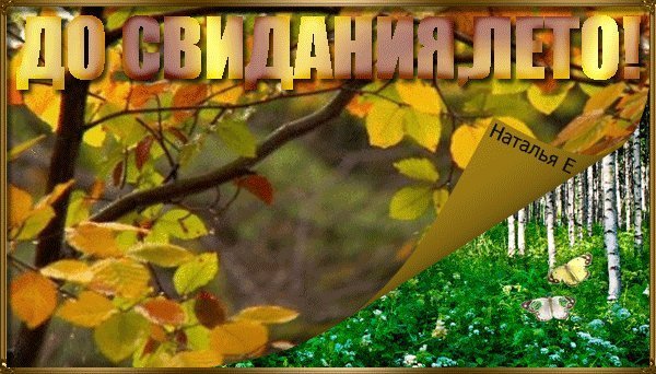 Солнечный осенний день