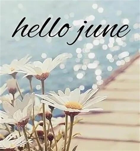 Hello June