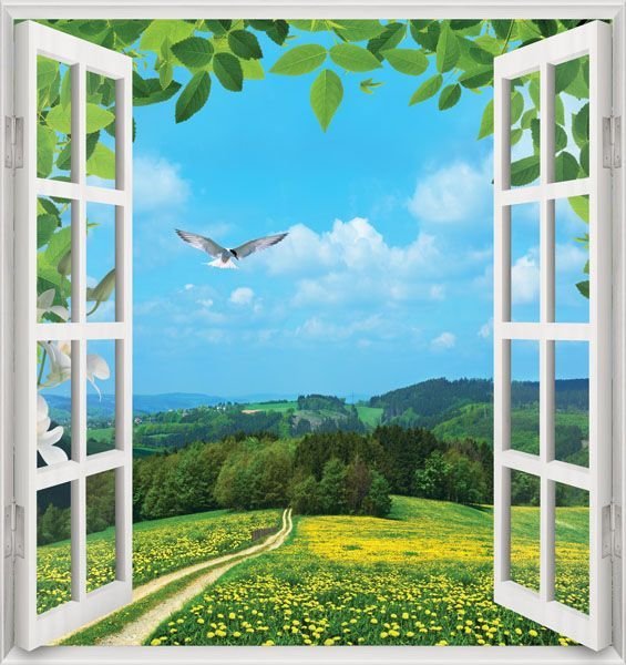 Фотообои окно с видом